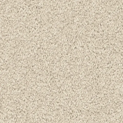 Sand Dune carpet swatch